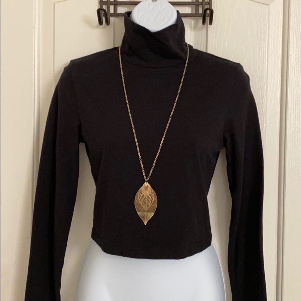 Long-sleeved turtle neck cropped top